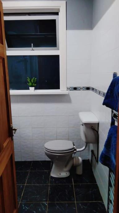 Cheerful Three Bedroom Country Cottage Ballina  Extérieur photo